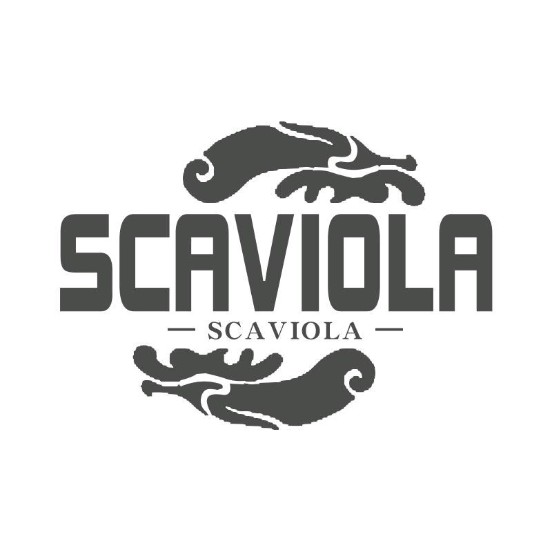 SCAVIOLA商贸男鞋专卖店