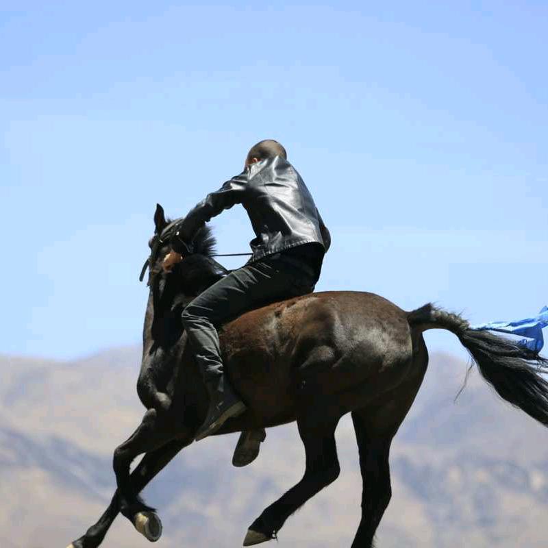 (๑•̀ㅂ•́)و✧