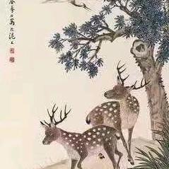 修心文化☀️