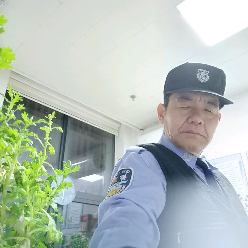 天天