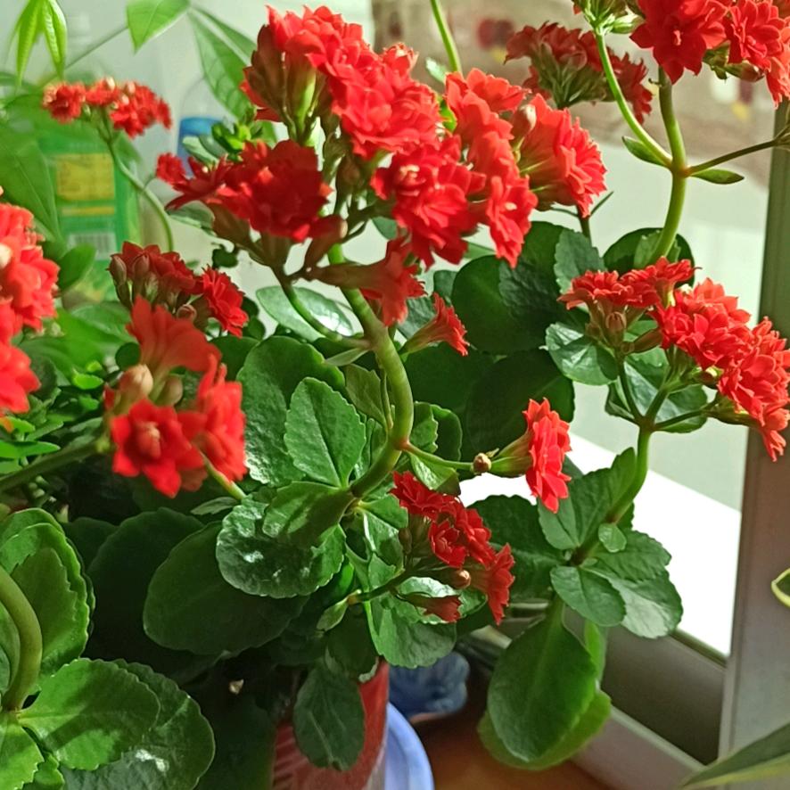 用户6841894669333悦