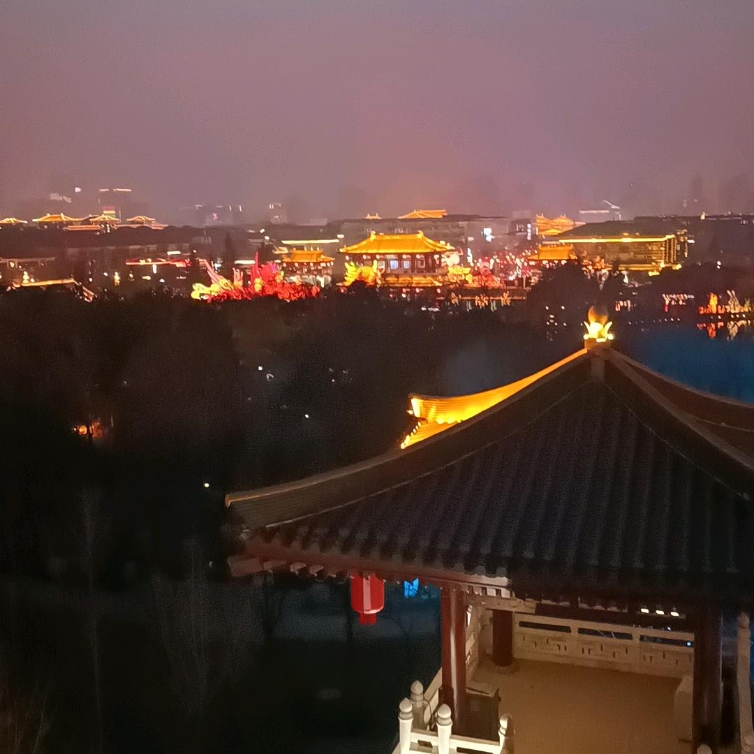 桀骜不驯
