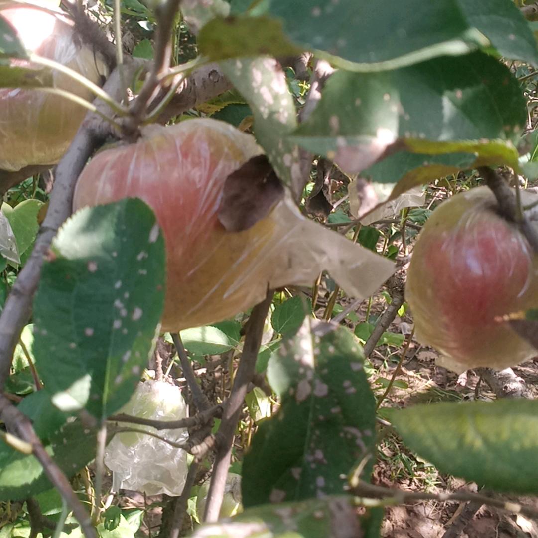 好心情🙏🙏🙏