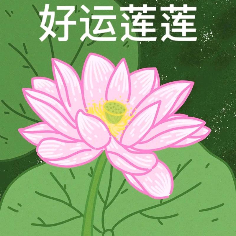 守护