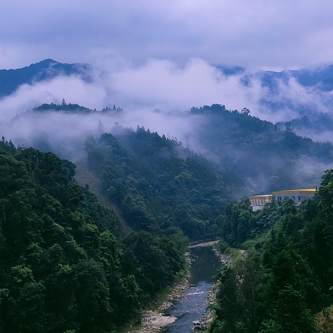 👿全是٩(￥A￥)۶恭喜发财爱😈