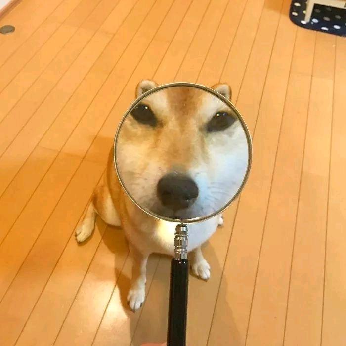 咕哒子
