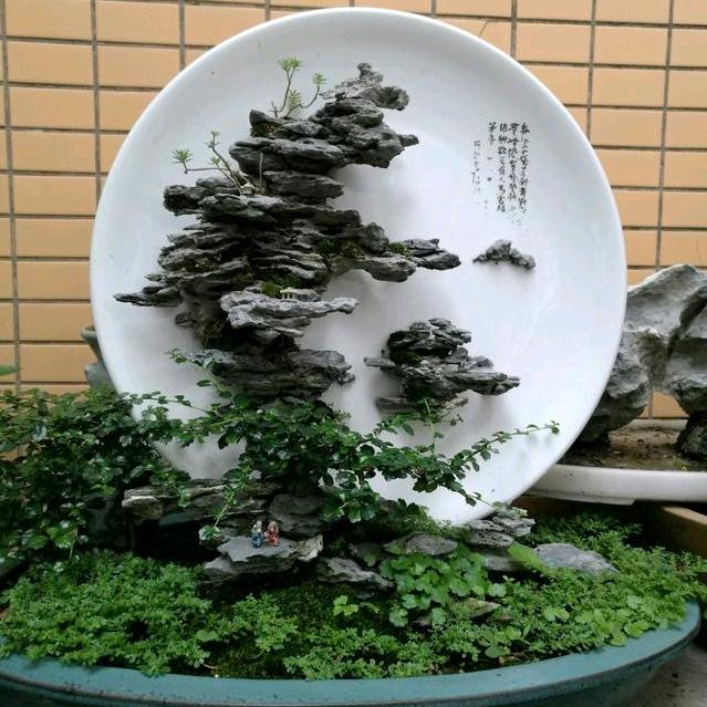 喜欢无价