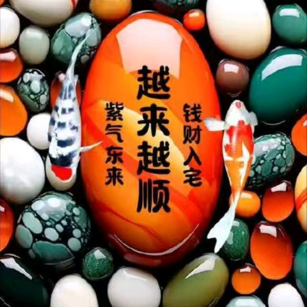 南飞雁（洛宁大小工程承包）