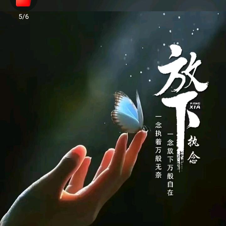 可乐香菜