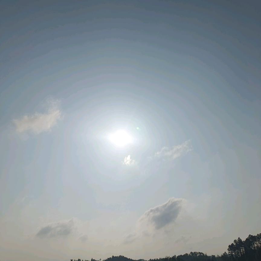 简@