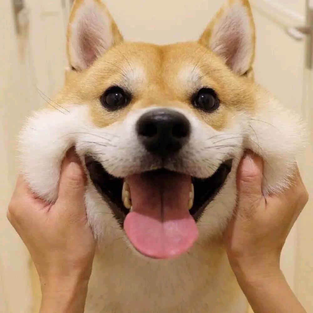 阿斯顿慷