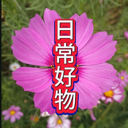 日常好物