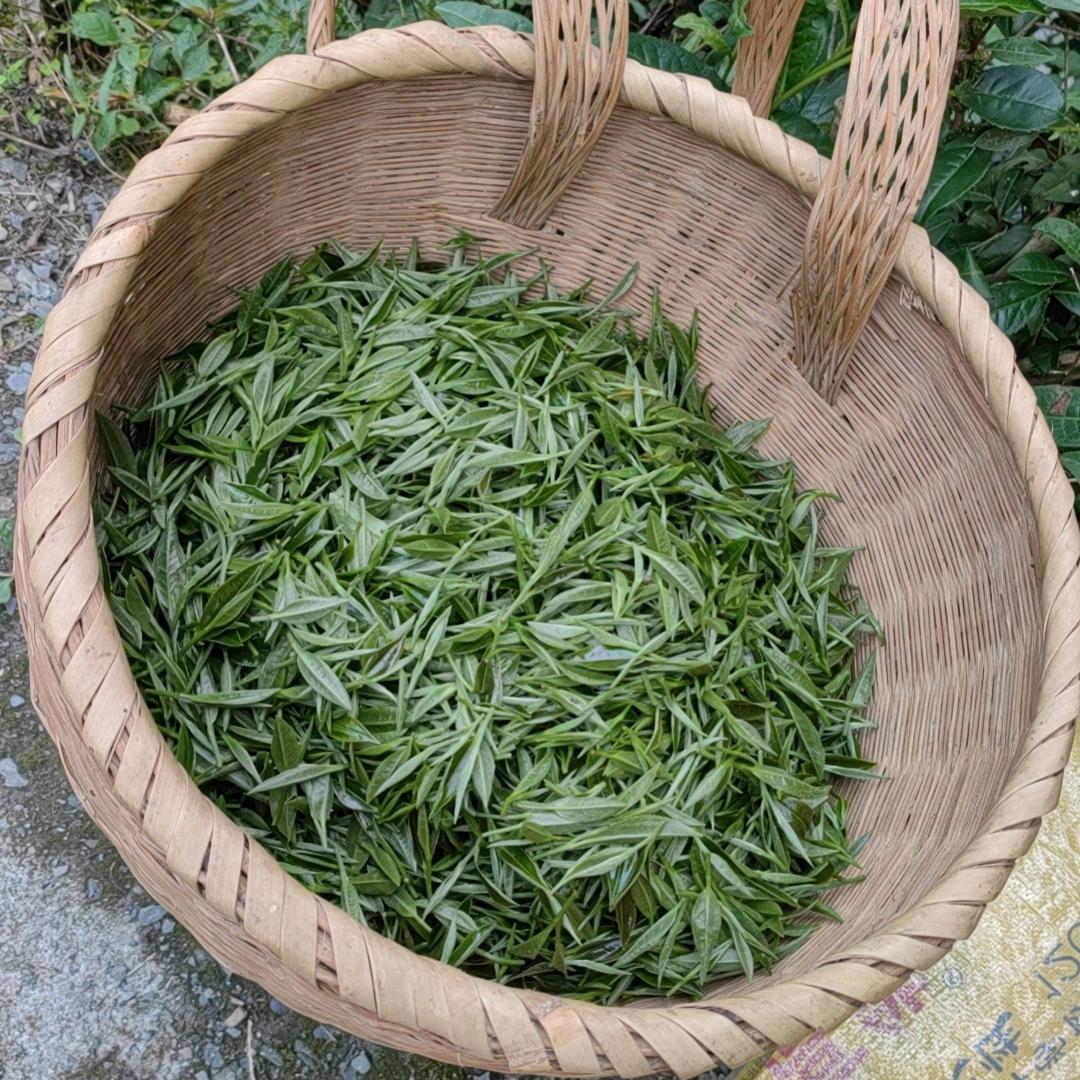 瑞鑫茶叶专业合作社