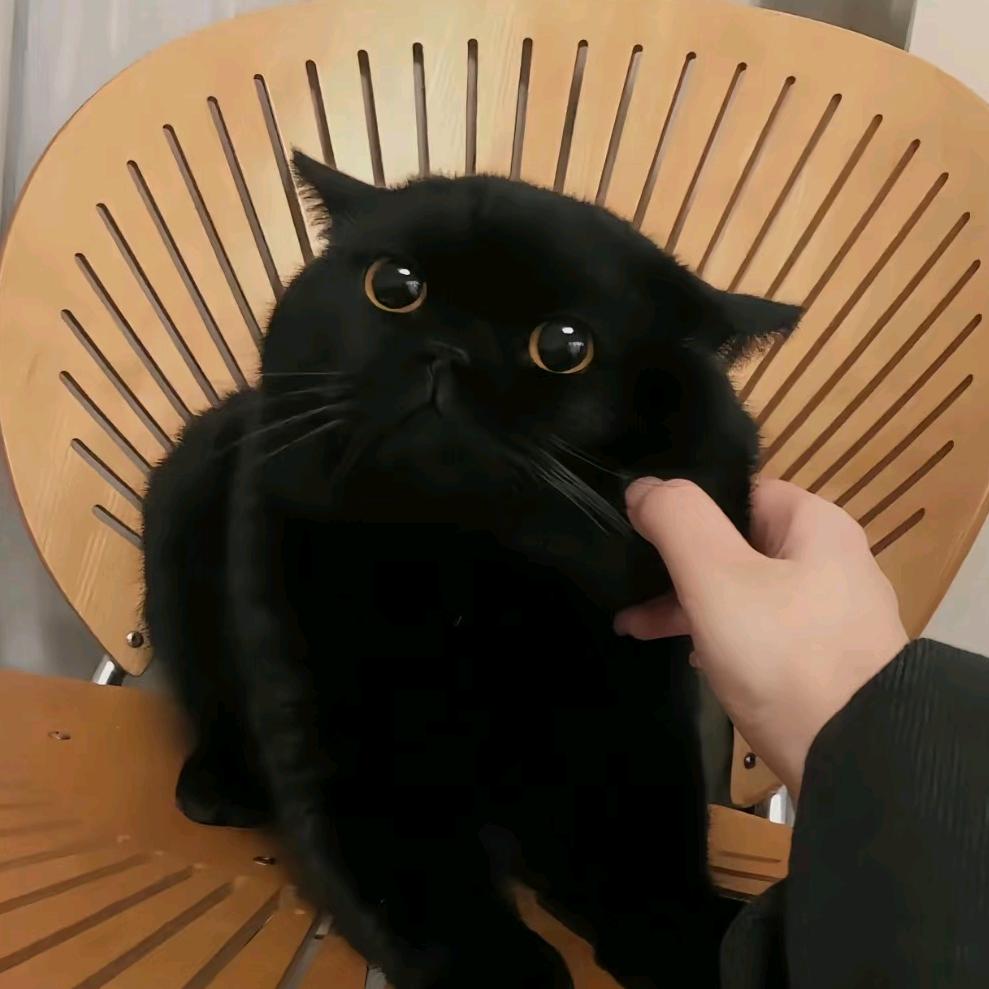 Lllll.