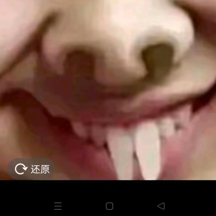 炮🔥哥🔥