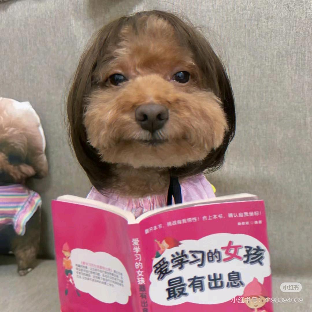 小p一五六（fdr ）