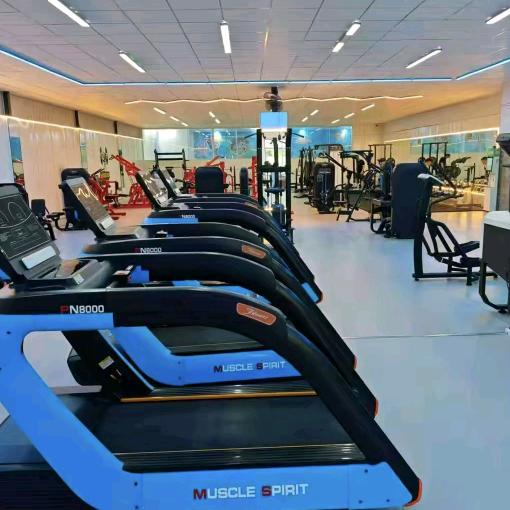 白鲨游泳健身草莓冻