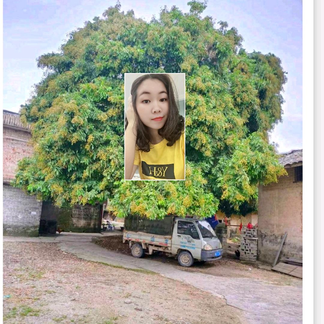 耳  多  陈