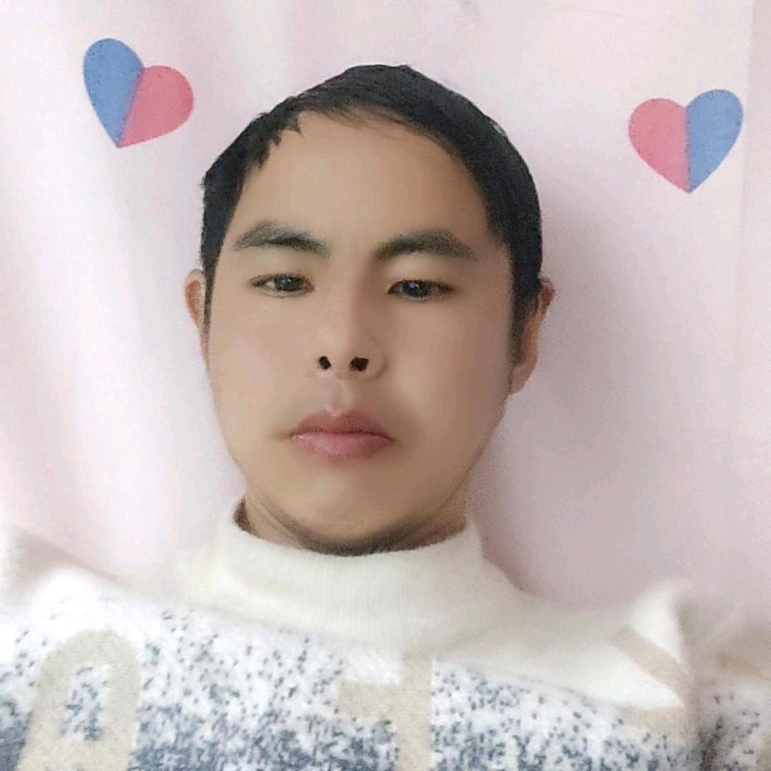 孤独的狼