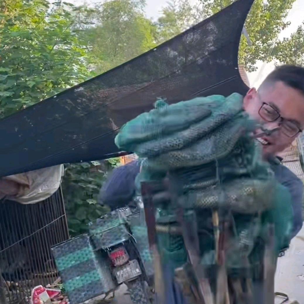 户外小阿爽
