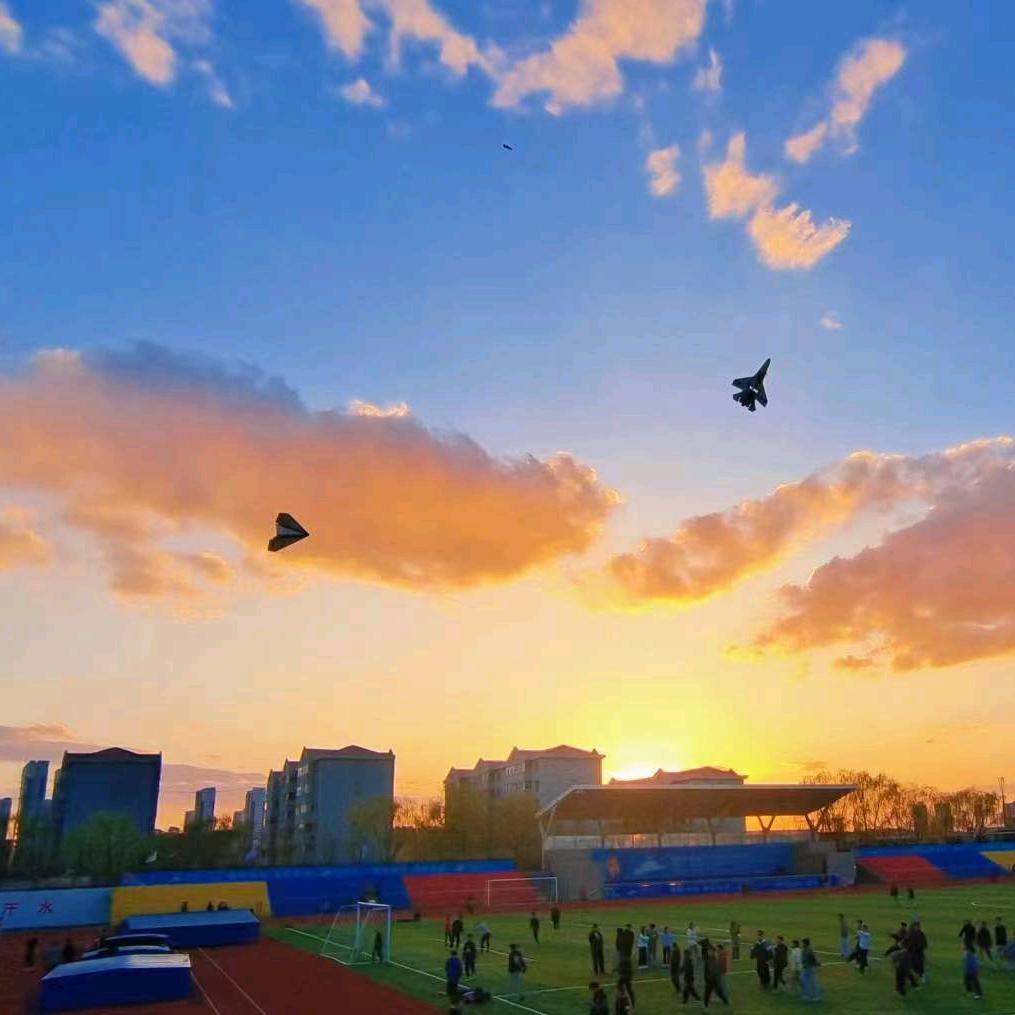 不会飞飞机的阿欢