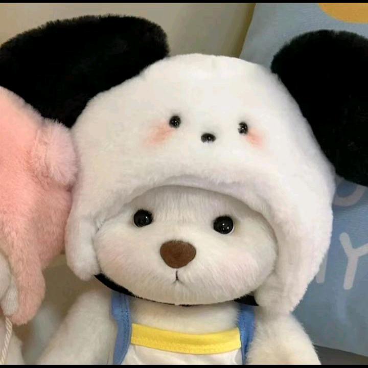 爱坤