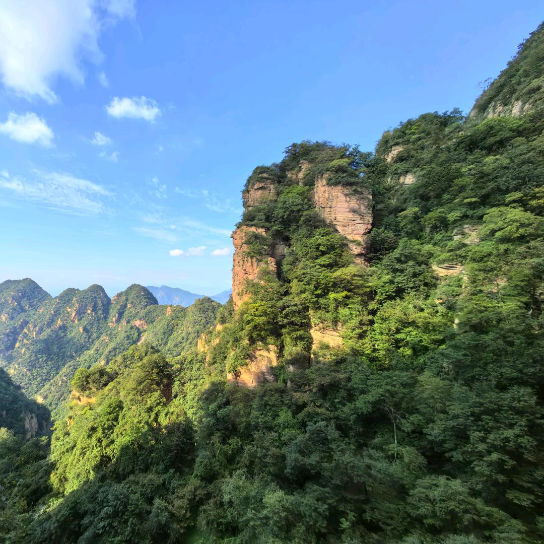 李琪