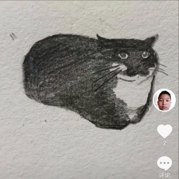 一生所爱💟