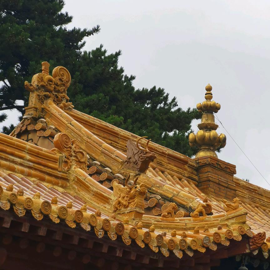 惠思HR直招（良辰）