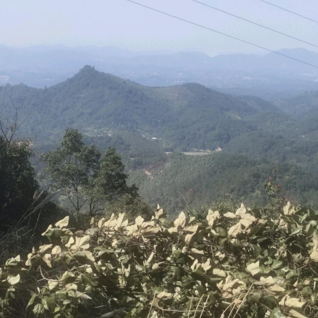 A6兰路虎