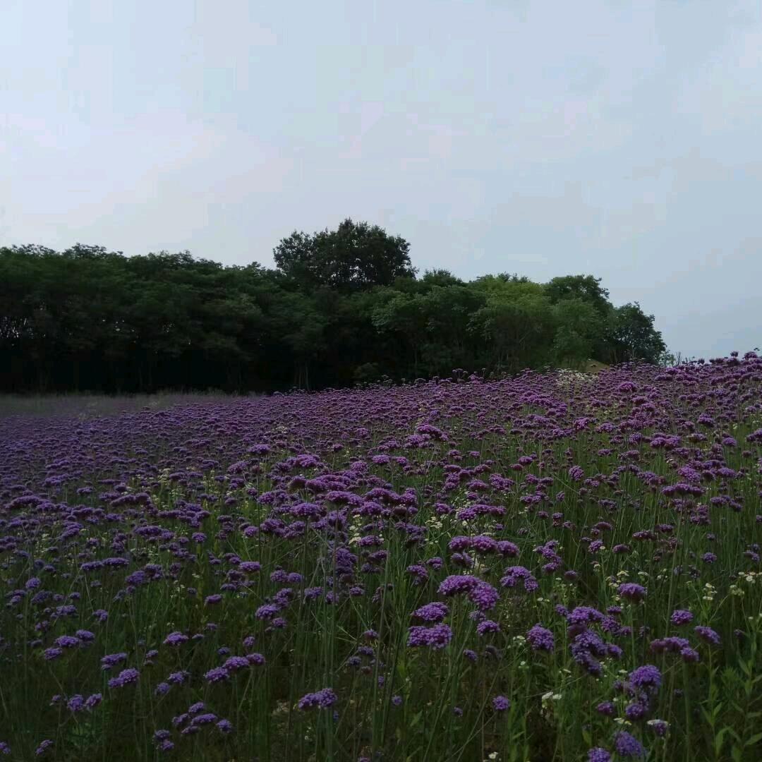 静好如初💘