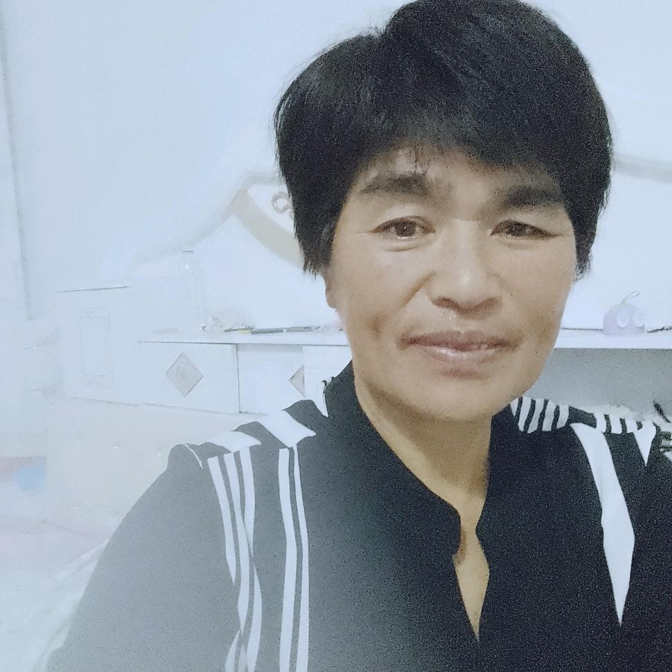 自由飞翔