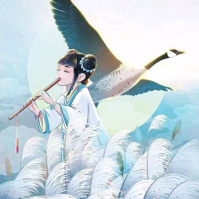 羿华散人🍃