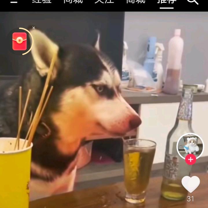 罗公子