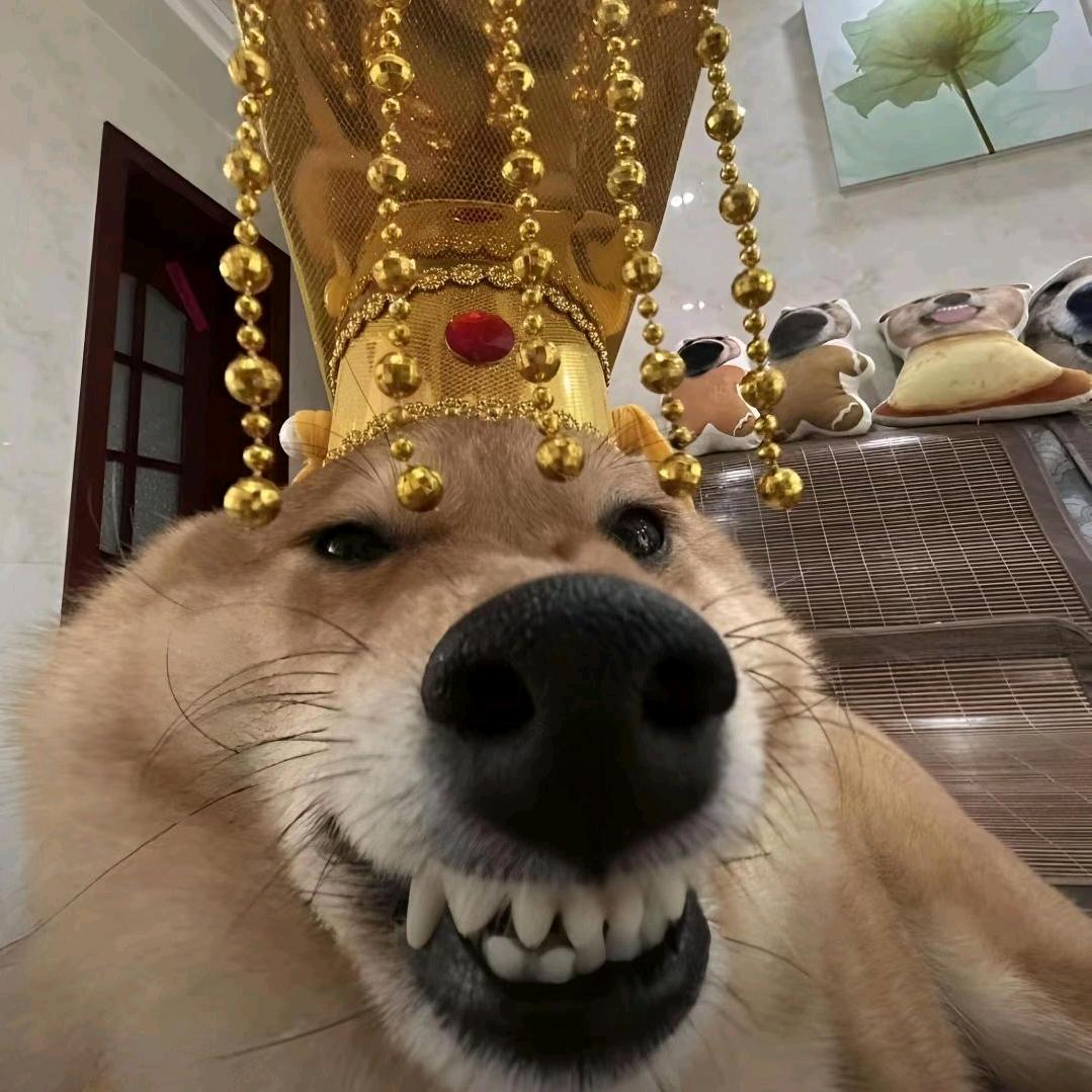 看到我提醒我喝水