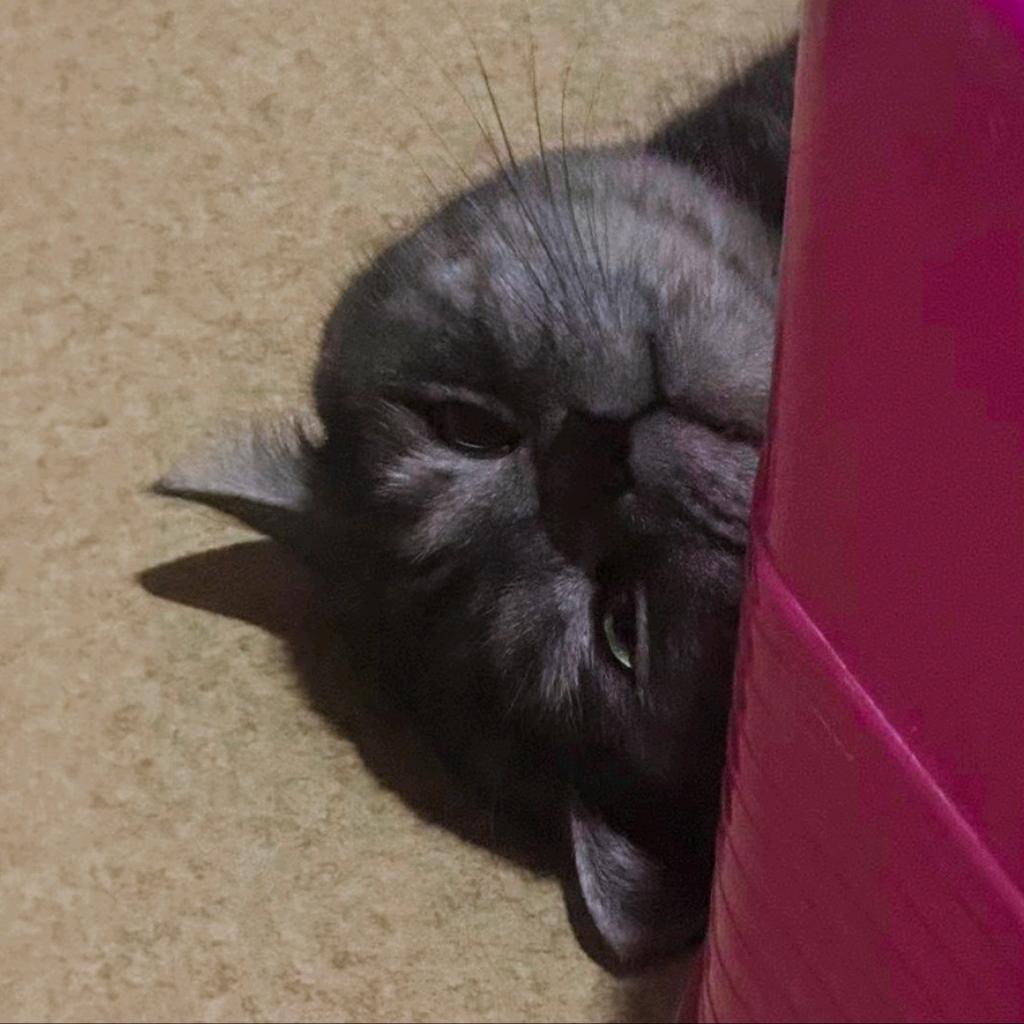 或或