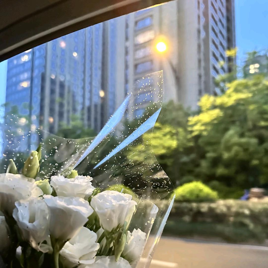 随心所欲
