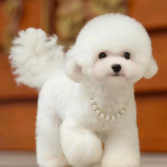 ^抓个星星坐在月亮上^