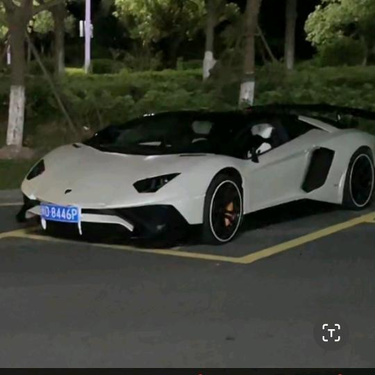 我行我素