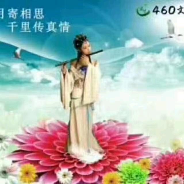 花中飞仙