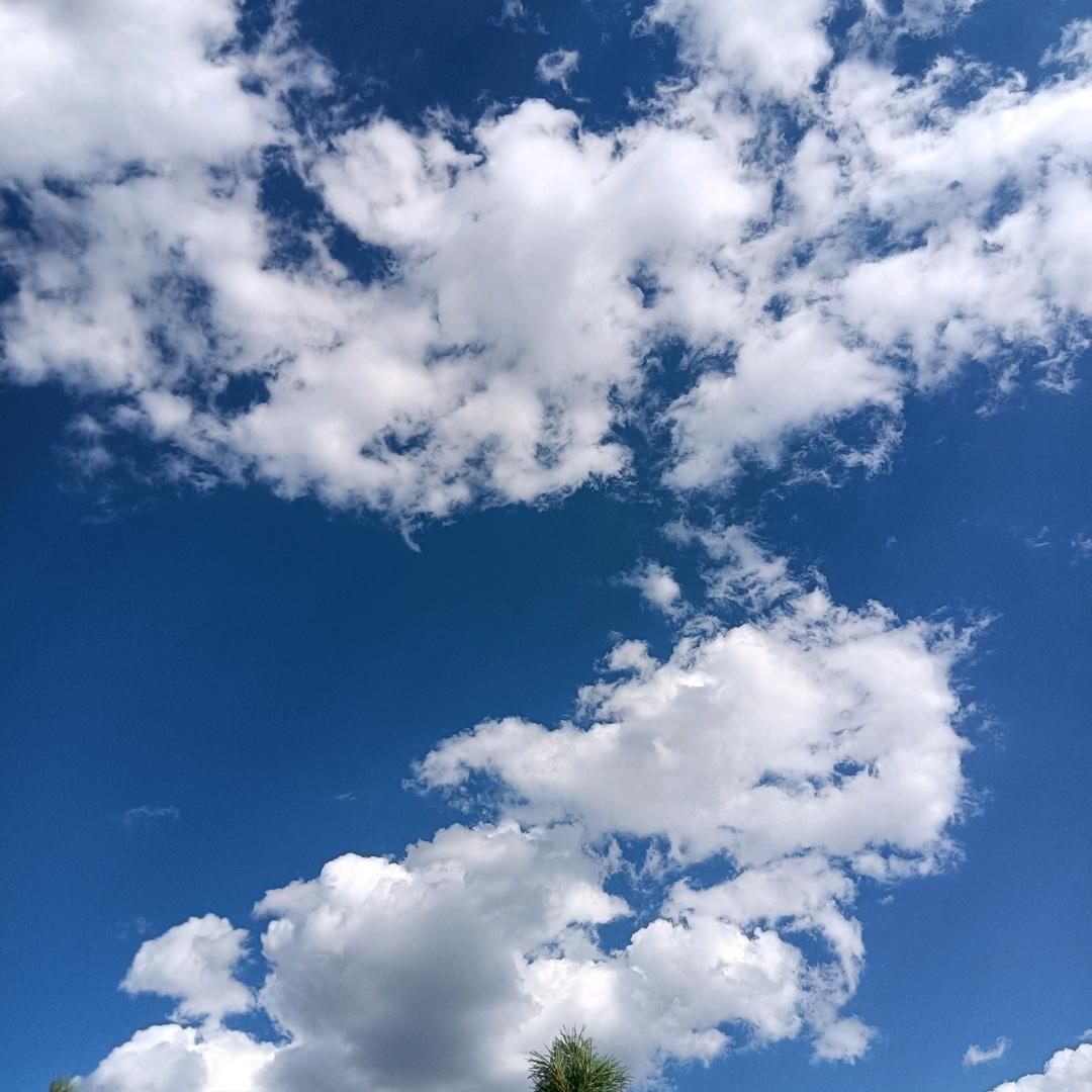 诗和远方！！！！！！！！！！