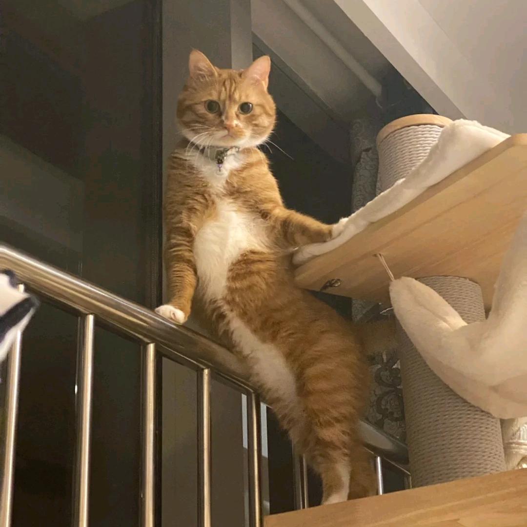 貌美丈夫为爱做0的那个夜晚狂甩我1千万