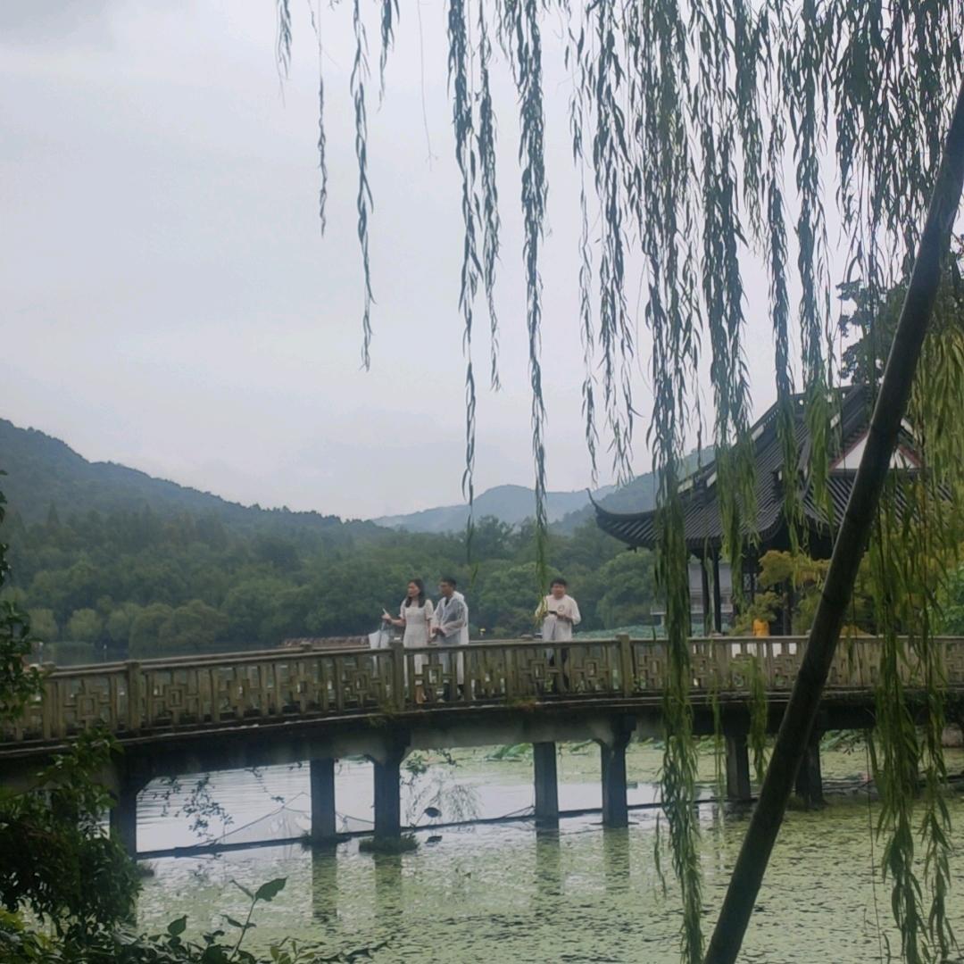 盈盈