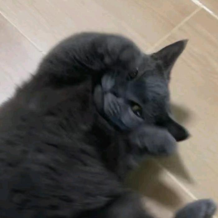 呼啦啦呼啦啦呼啦呼啦呼