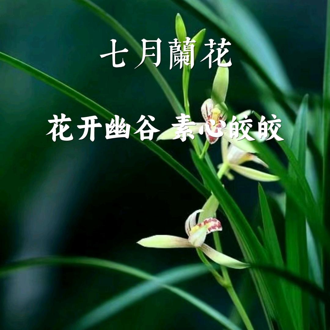 💞ℳ平安喜乐꧔ꦿ᭄💞