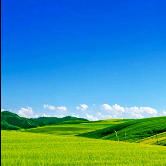 冷漠