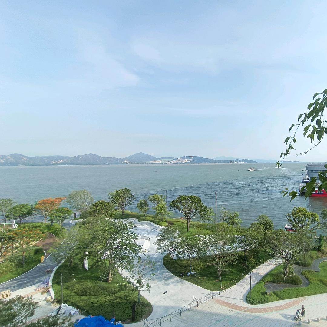哈尼