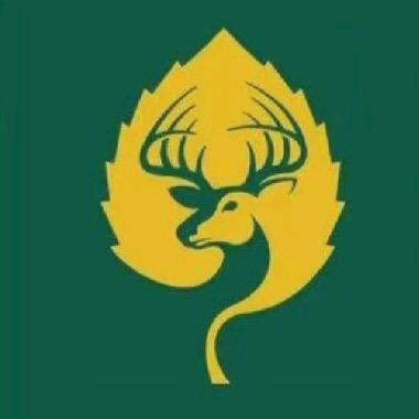 紫宸瑜伽运动健身