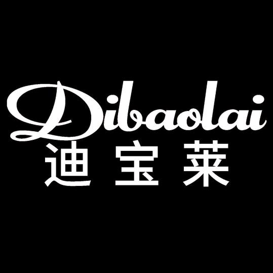 迪宝莱吹风机