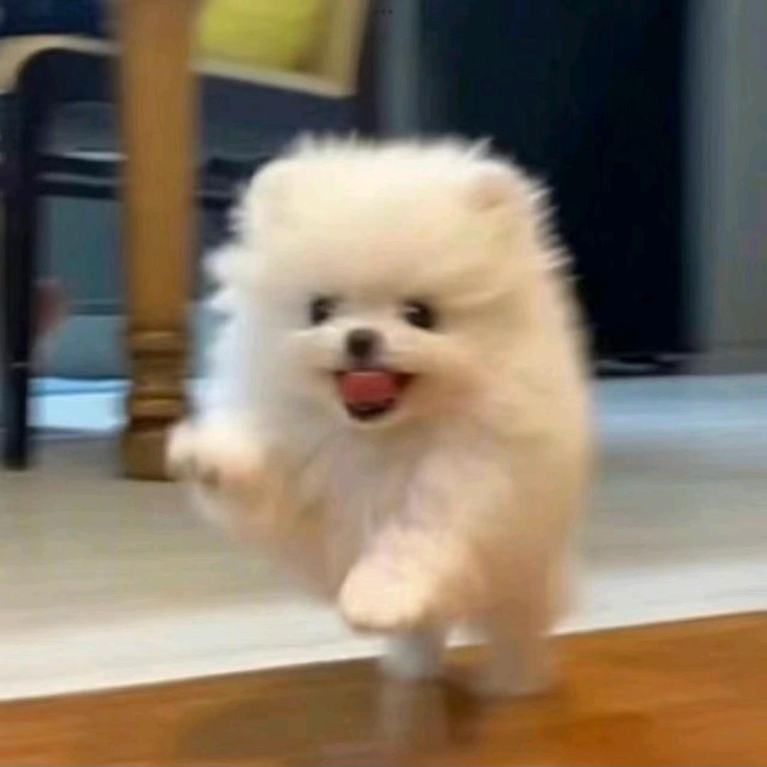 想着你